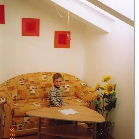 Daire Tyrol Mayrhofen